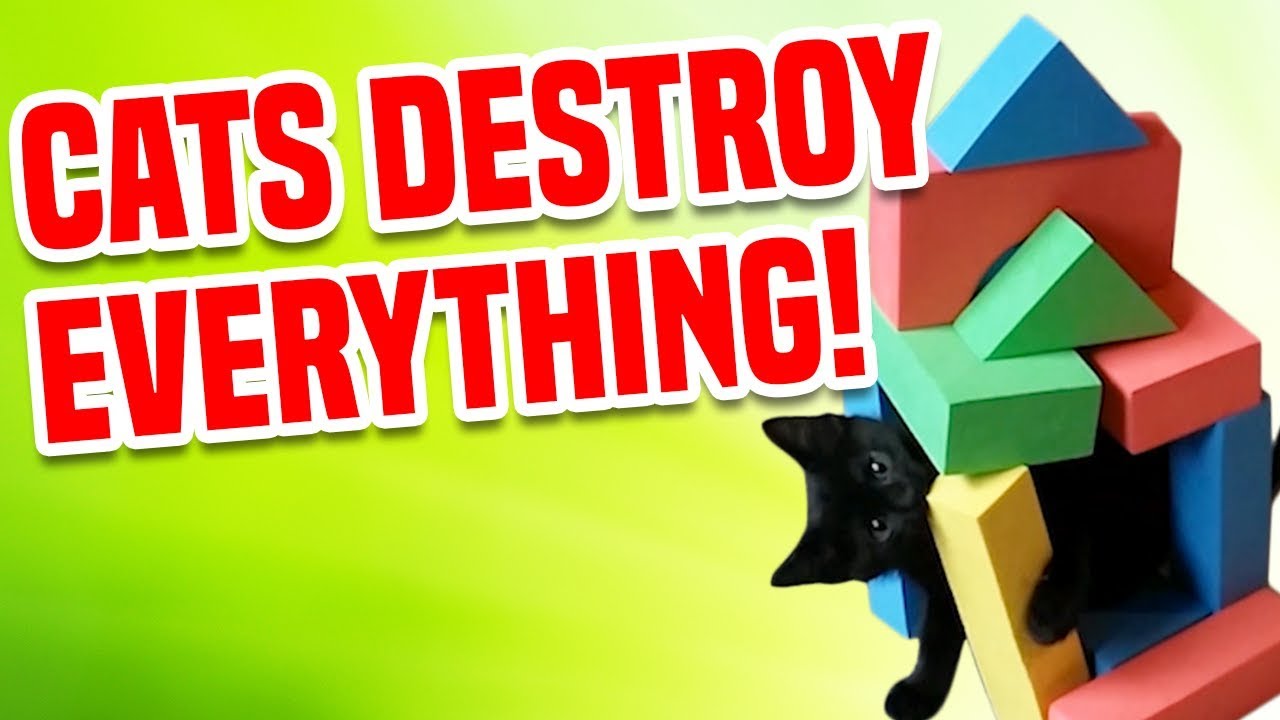 Destroy everything. Destroyed Cats.