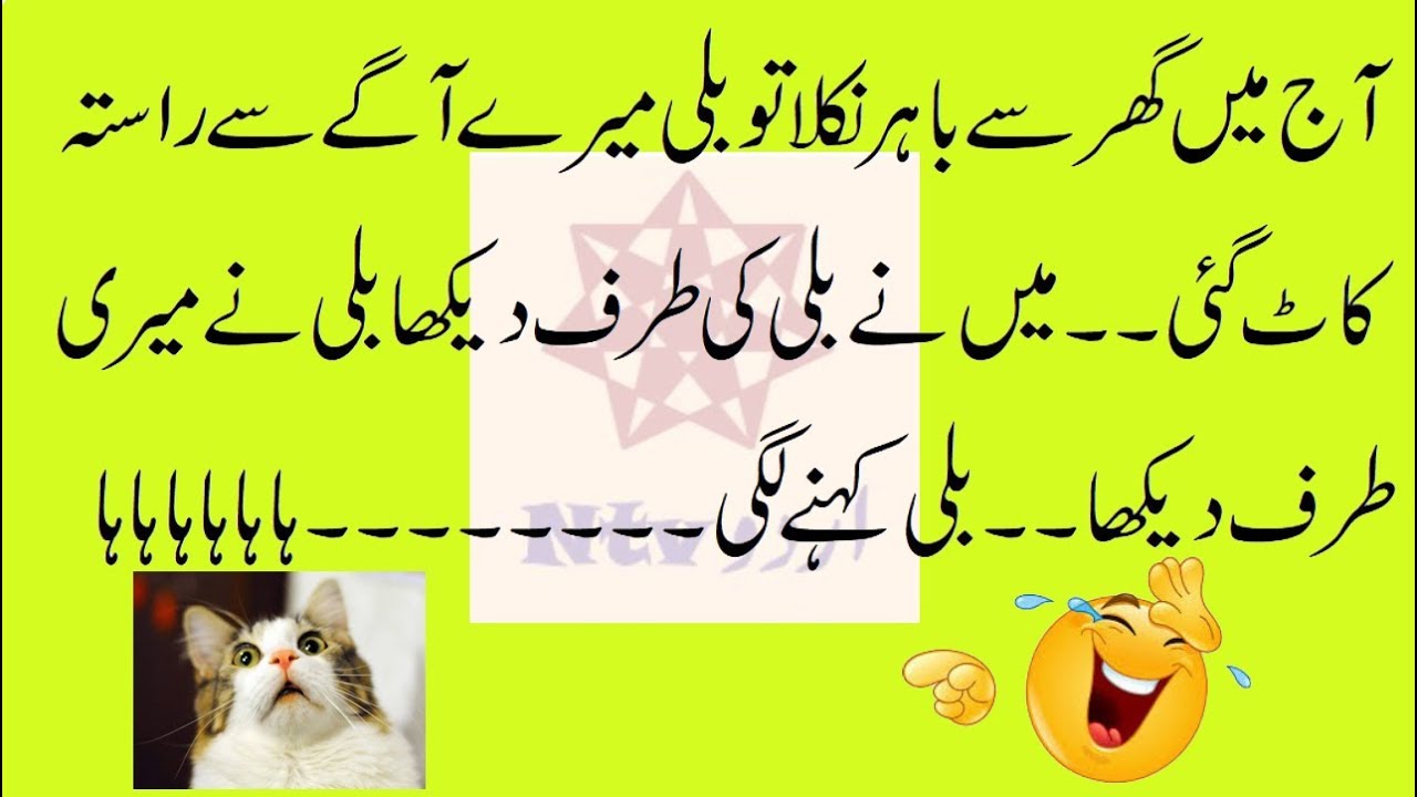 Funny Cat Jokes In Urdu By Ntv Urdu 2019 20 World Cat Comedy